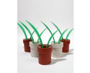盆栽鞋拔